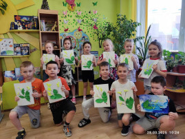 Мимоза — прекрасный цветок! Мимоза — прекрасный цветок!.
